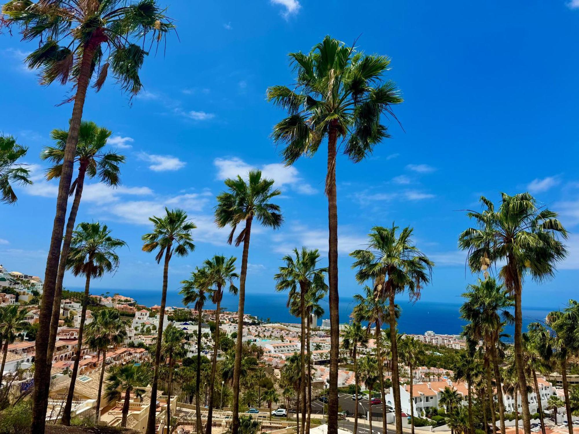 San Eugenio Charming Renovated Apartment Tenerife Costa Adeje (Tenerife) Exterior foto