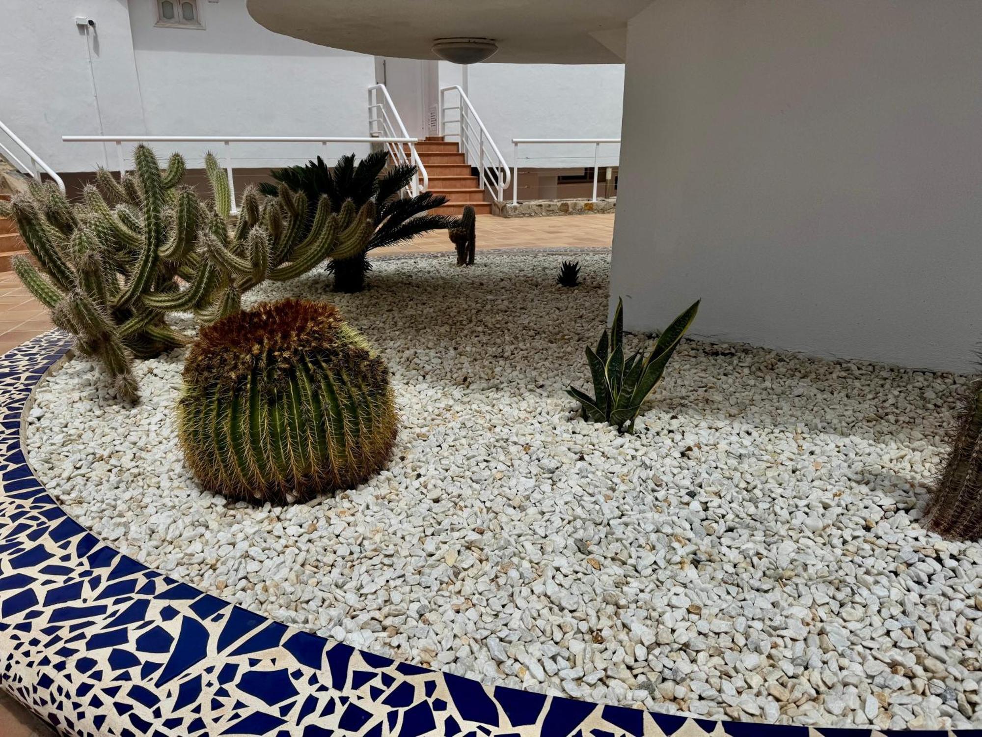San Eugenio Charming Renovated Apartment Tenerife Costa Adeje (Tenerife) Exterior foto